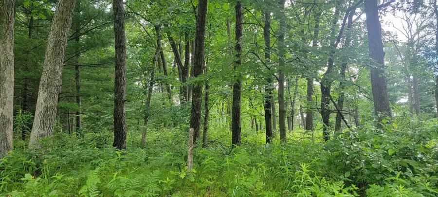 2978 6TH AVENUE, Grand Marsh, WI 53936 - #3