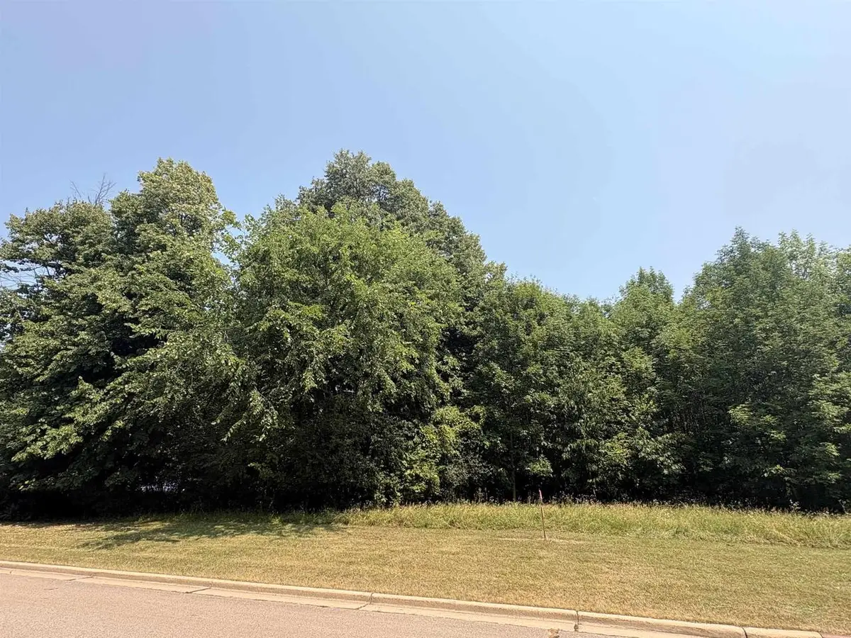 Lot 1-2 BOON BOULEVARD, Neillsville, WI 54456 - #1