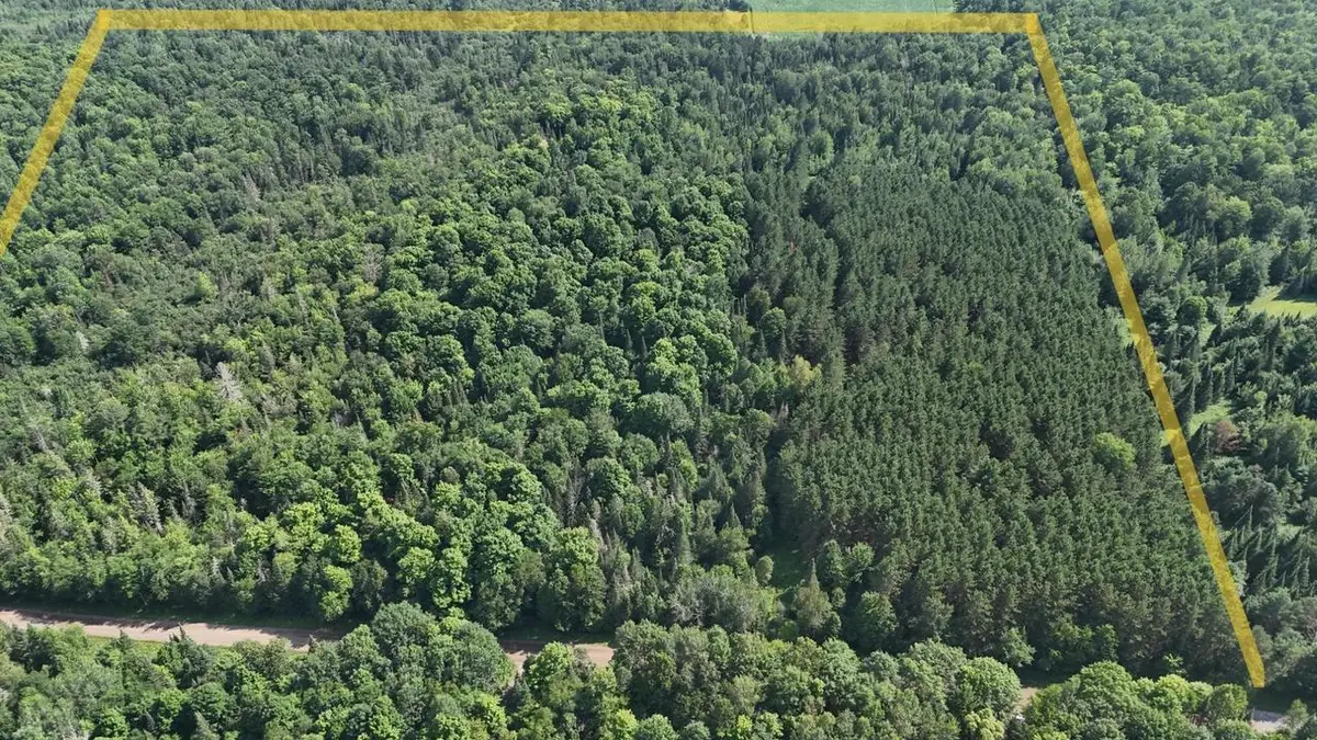 40 Ac SUNRISE ROAD, Merrill, WI 54452 - #1