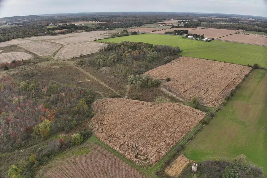 42.610 acres COUNTY ROAD O, Greenwood, WI 54437 - #2