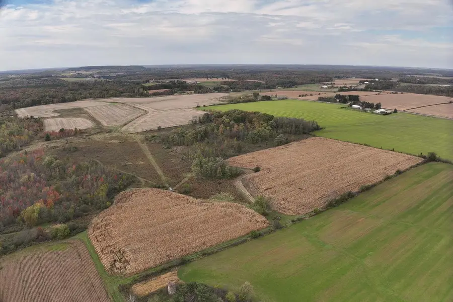 42.610 acres COUNTY ROAD O, Greenwood, WI 54437 - #3