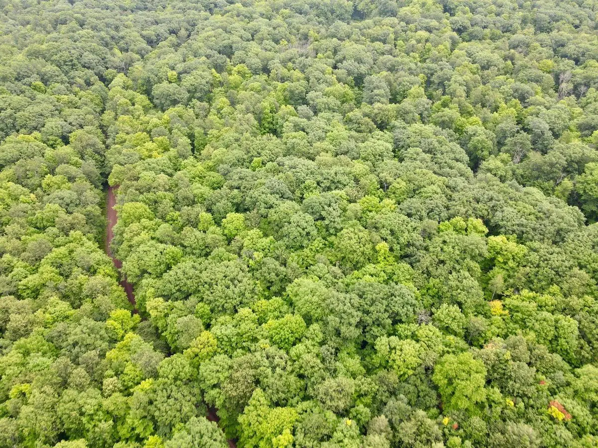 Lot 4 CRANE FOOT LAKE ROAD, Gleason, WI 54435 - #1
