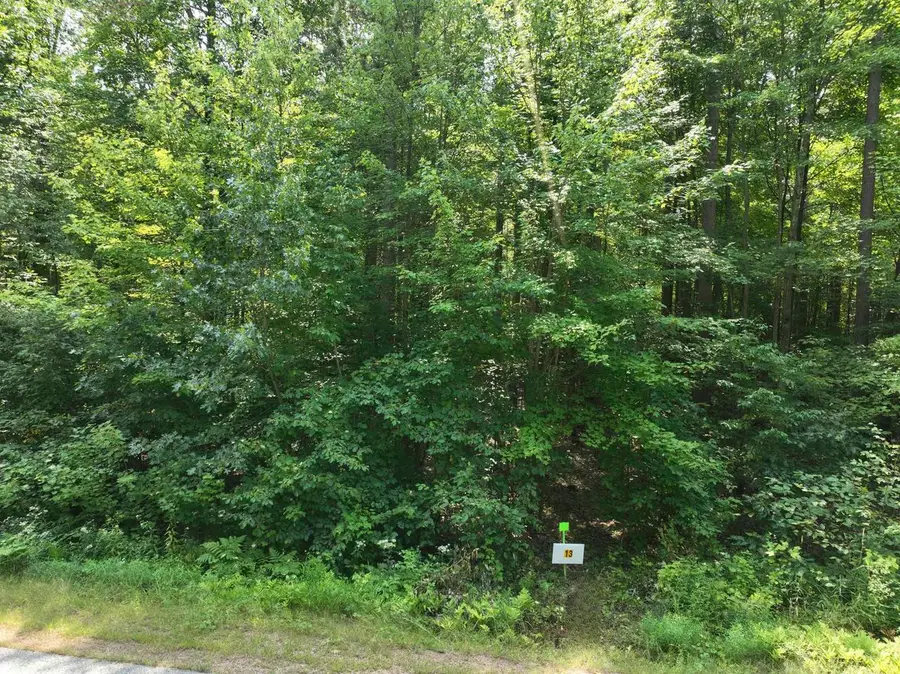 Lot 13 BURMA ROAD, Mosinee, WI 54455 - #2
