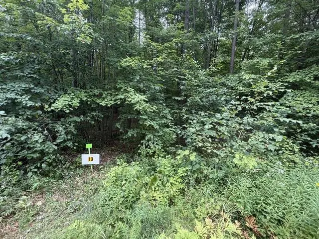 Lot 13 BURMA ROAD, Mosinee, WI 54455 - #3