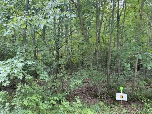 Lot 14 BURMA ROAD, Mosinee, WI 54455 - #2