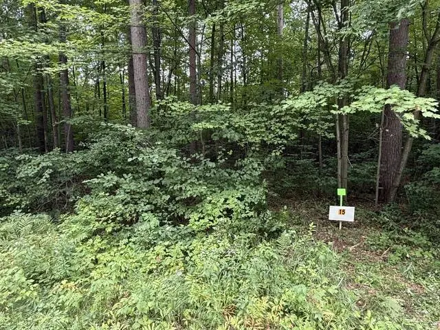 Lot 15 BURMA ROAD, Mosinee, WI 54455 - #2