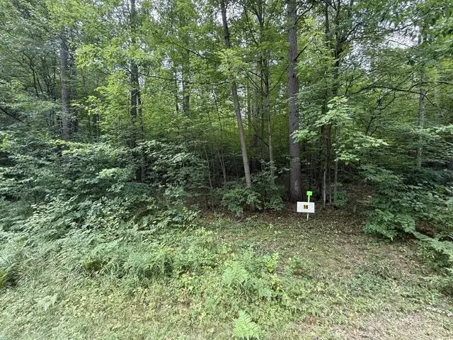 Lot 16 BURMA ROAD, Mosinee, WI 54455 - #2