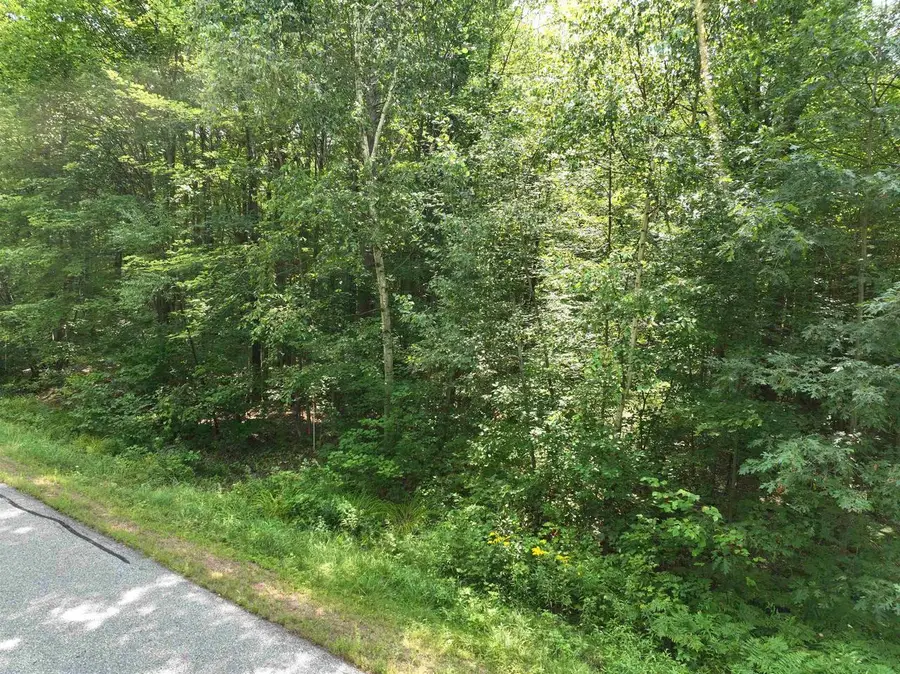 Lot 16 BURMA ROAD, Mosinee, WI 54455 - #3
