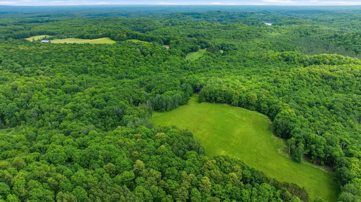018-00101-0000 BRUSH CREEK ROAD, Medford, WI 54451 - #1