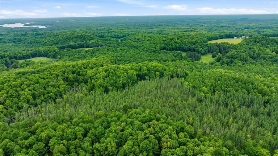 018-00101-0000 BRUSH CREEK ROAD, Medford, WI 54451 - #3