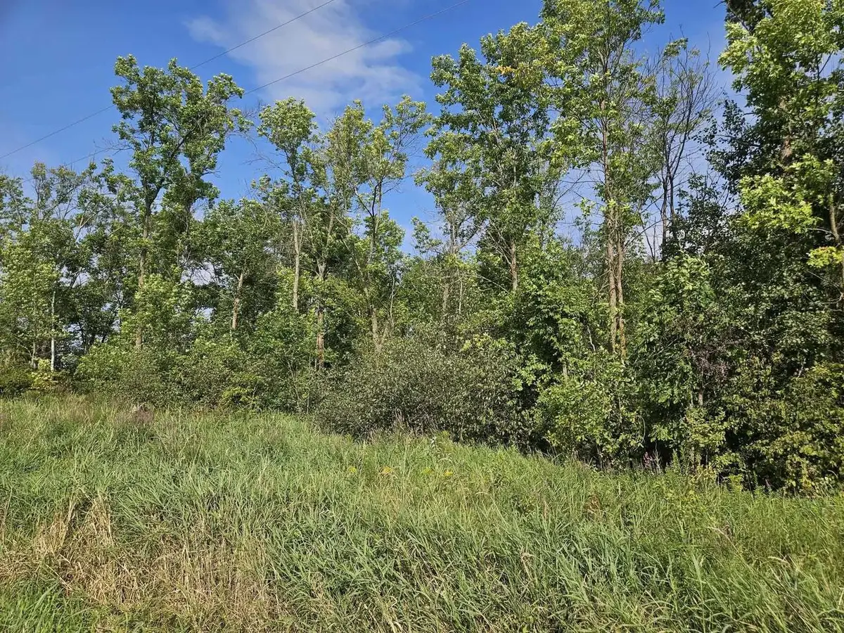 19 Acres MOL KEYSTONE AVENUE, Spencer, WI 54479 - #1