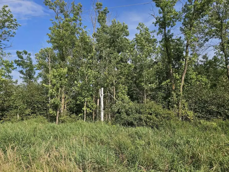 19 Acres MOL KEYSTONE AVENUE, Spencer, WI 54479 - #3