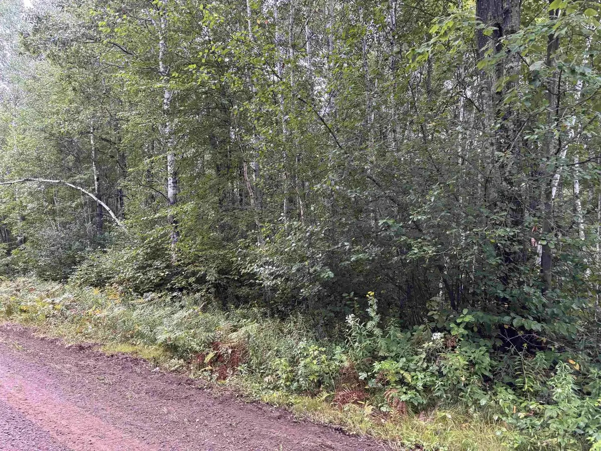 ARMSTRONG CREEK ROAD, Tomahawk, WI 54487 - #1