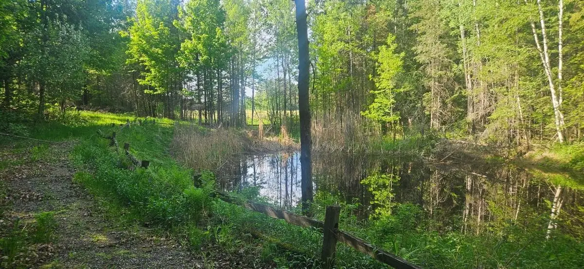 On FIGI ROAD, Eisenstein, WI 54552 - #1