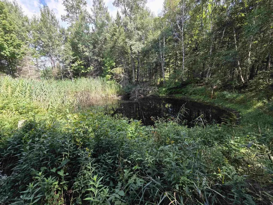 On FIGI ROAD, Eisenstein, WI 54552 - #3