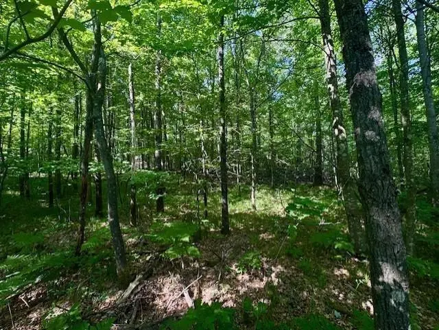 N8823 DICKERSON AVENUE, Willard, WI 54493 - #2