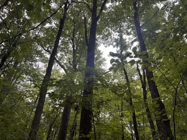 240701 SAWMILL ROAD, Aniwa, WI 54408
