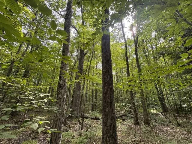 240701 SAWMILL ROAD, Aniwa, WI 54408 - #3