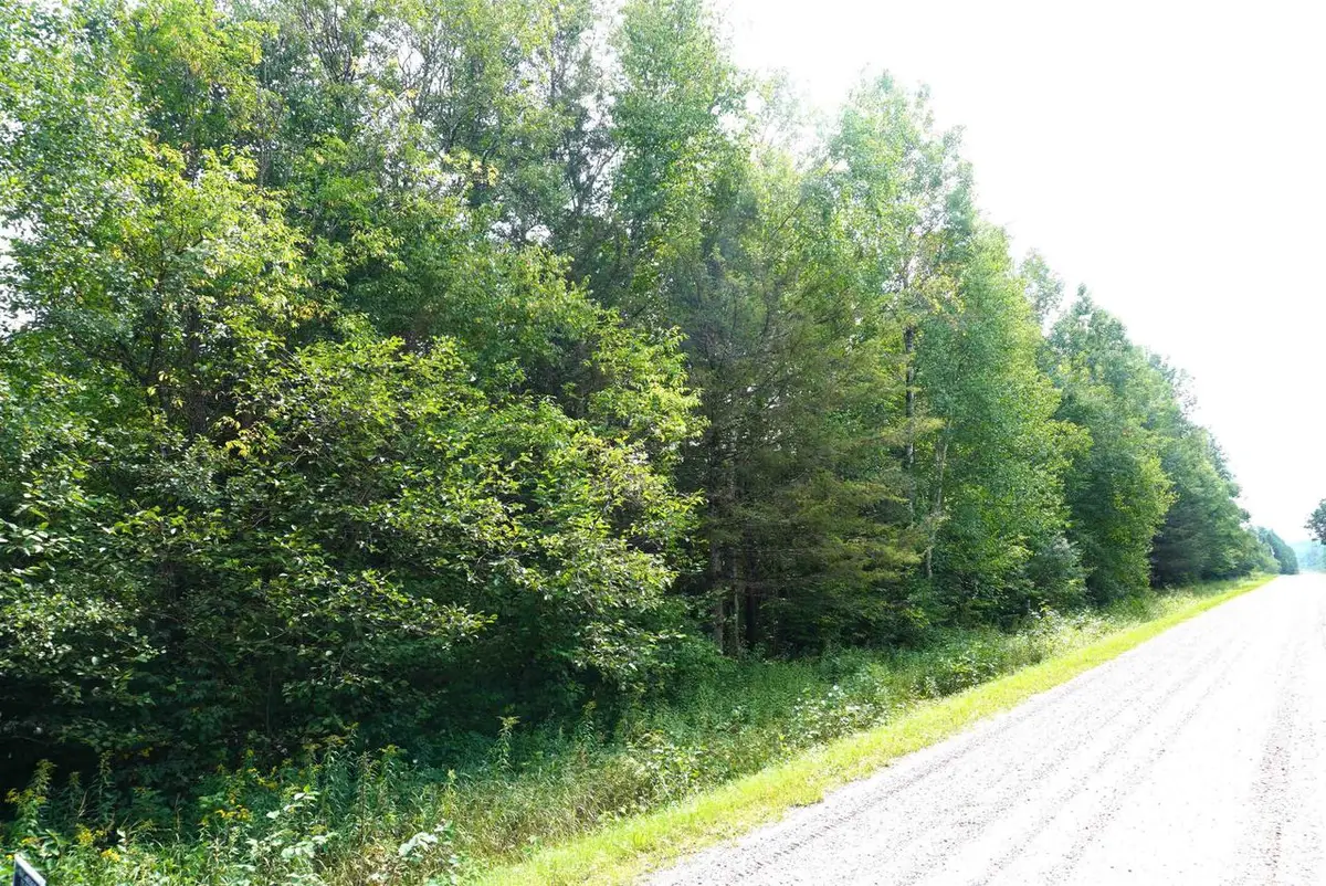 S-20 Acres RANGELINE ROAD, Deerbrook, WI 54424 - #1