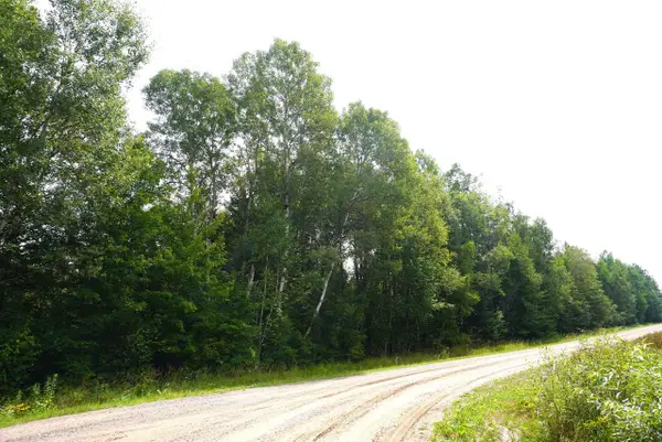 20 Acres N RANGELINE ROAD, Deerbrook, WI 54424