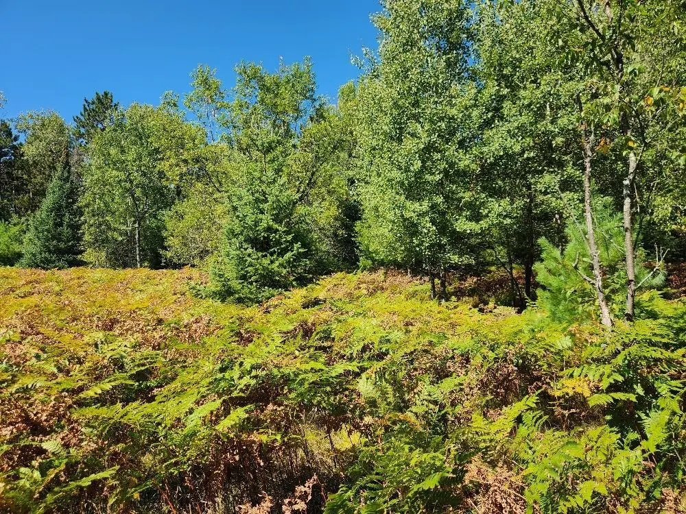 On COUNTY ROAD K #Lot 9, Harshaw, WI 54529 - #1