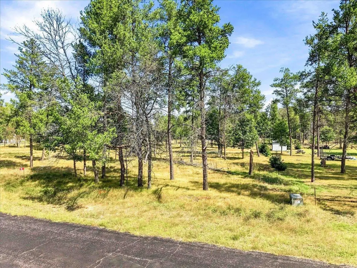 314 YORK COURT, Nekoosa, WI 54457 - #1