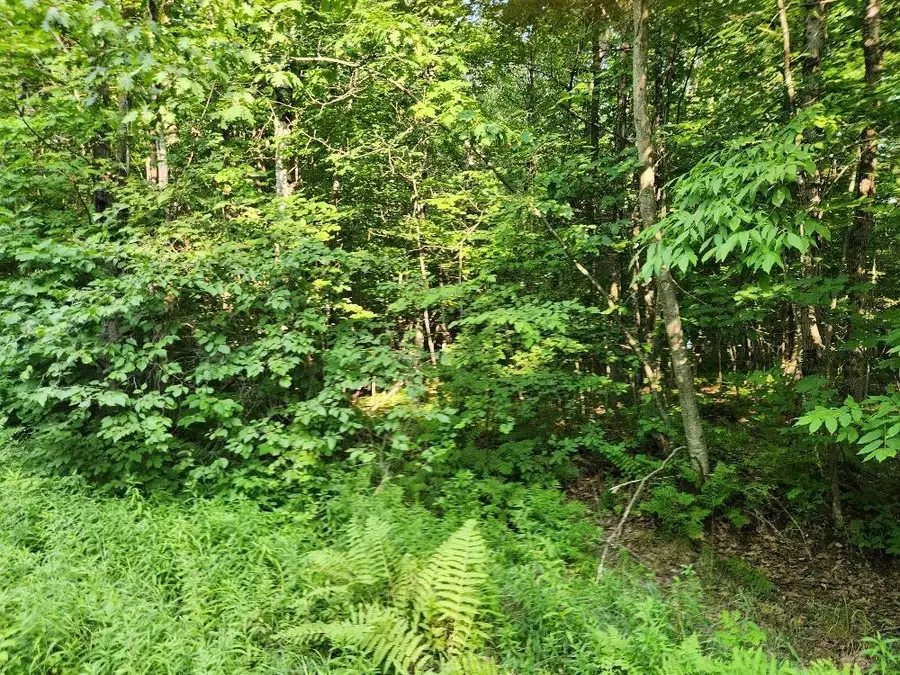 N6038 GRUENING LANE, Tomahawk, WI 54487 - #2