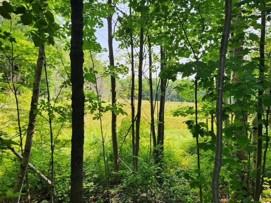 1505 SWALLOW LANE, Lac Du Flambeau, WI 54538 - #3