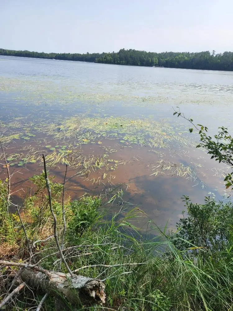 On W AMBER LAKE ROAD #Lot 1, Lac Du Flambeau, WI 54538 - #3