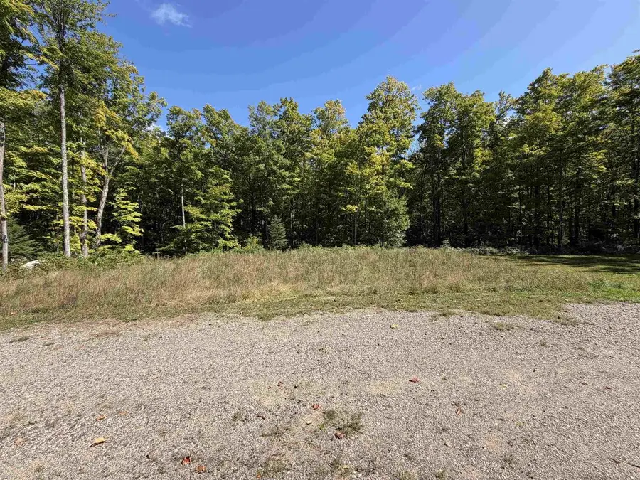 1018 LILY LAKE ROAD, Pickerel, WI 54465 - #3