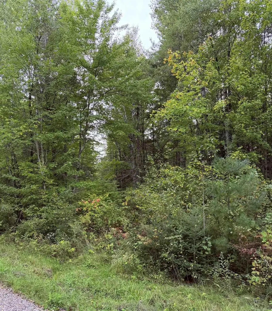 UP RIVER ROAD, Phillips, WI 54555 - #2