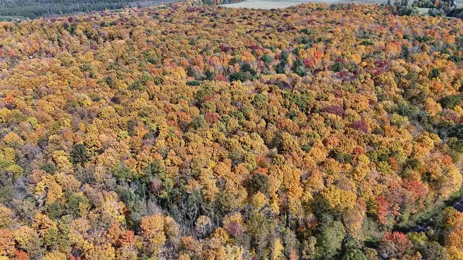 W11779 COUNTY ROAD W, Phillips, WI 54555 - #3