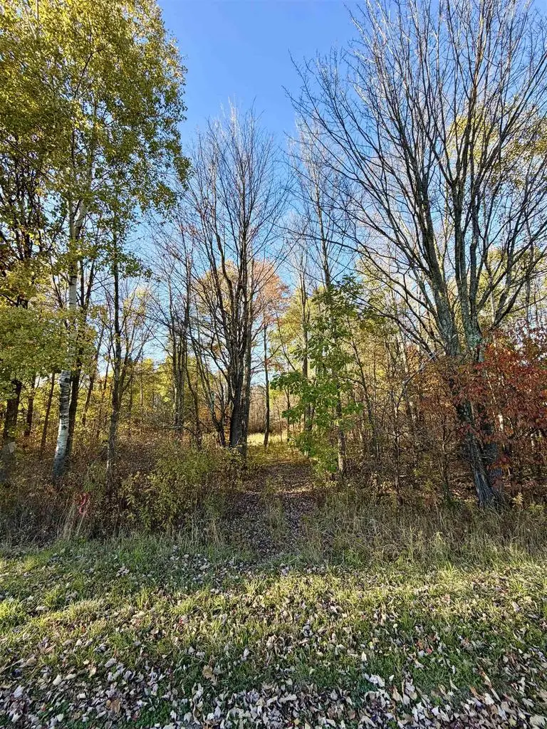 PENNINGTON ROAD, Prentice, WI 54556 - #2
