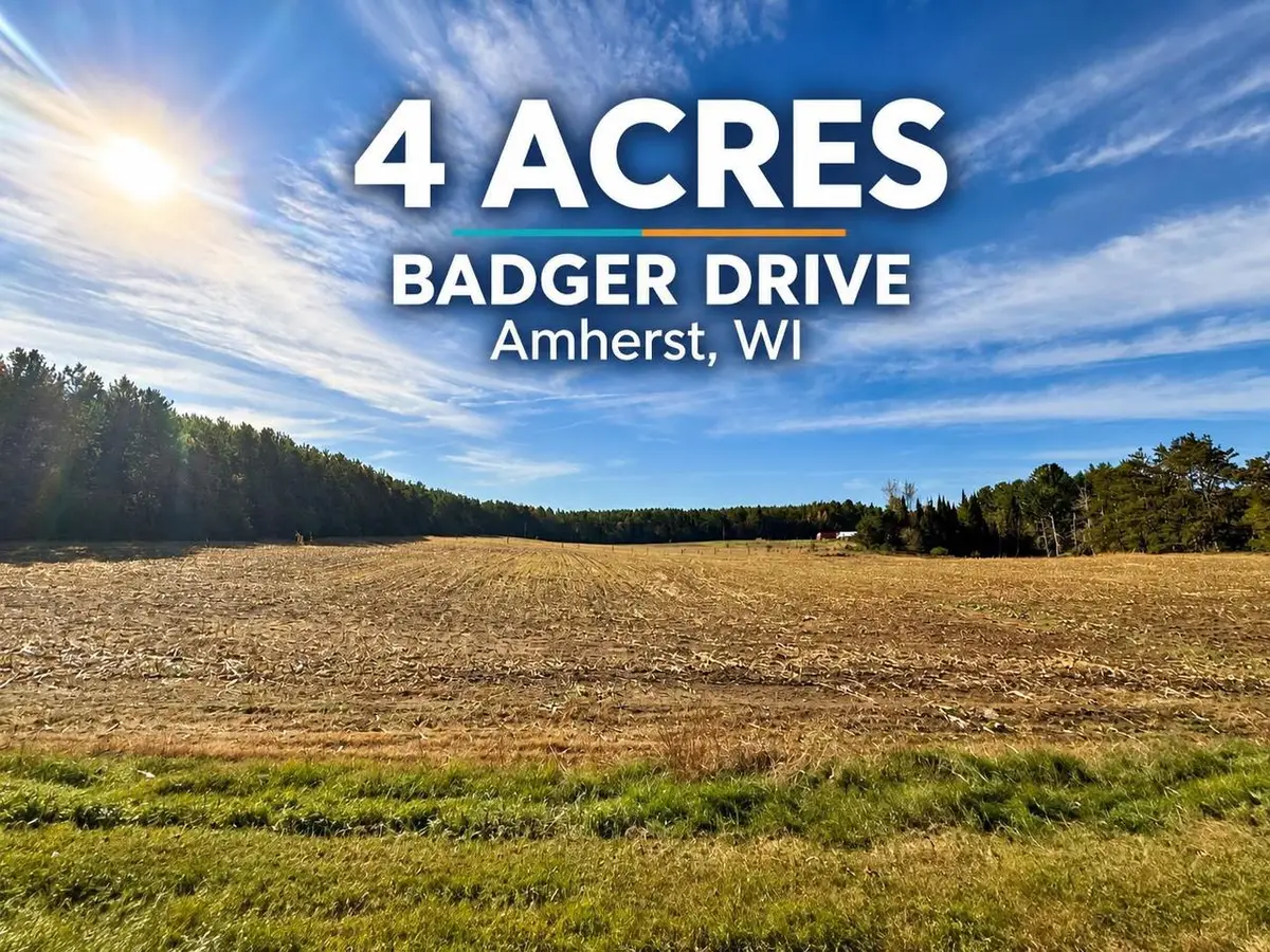 00 BADGER DRIVE, Amherst, WI 54406 - #1