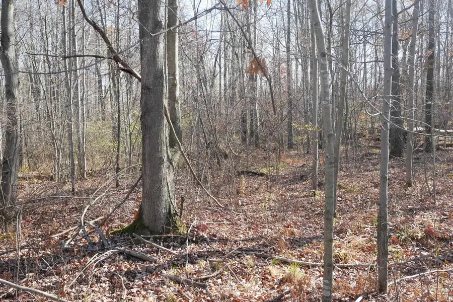 +/-5.17 Acres COUNTY LINE ROAD, Gilman, WI 54433 - #2