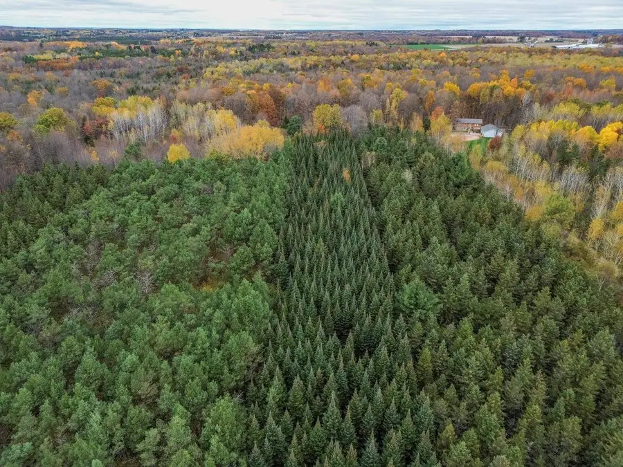 00 LAND ART ROAD, Wausau, WI 54403 - #3