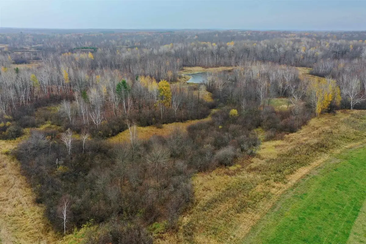 +/-39.22 Acres 8TH AVENUE, Lublin, WI 54447 - #1