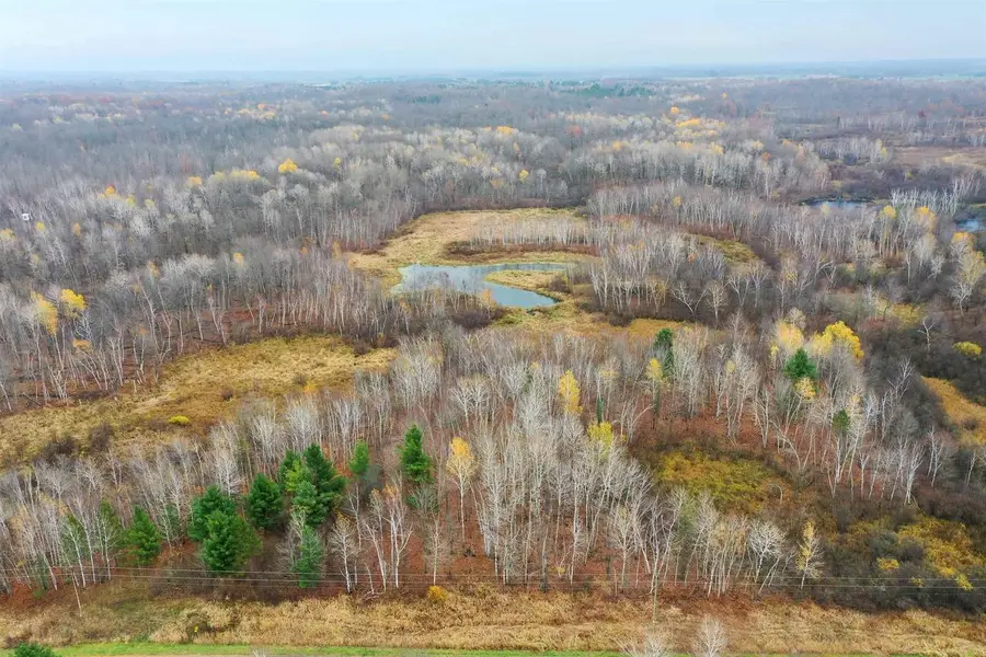 +/-39.22 Acres 8TH AVENUE, Lublin, WI 54447 - #2