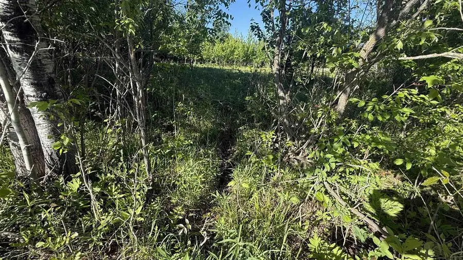Lot 1 COUNTY ROAD Z, Ringle, WI 54471 - #3