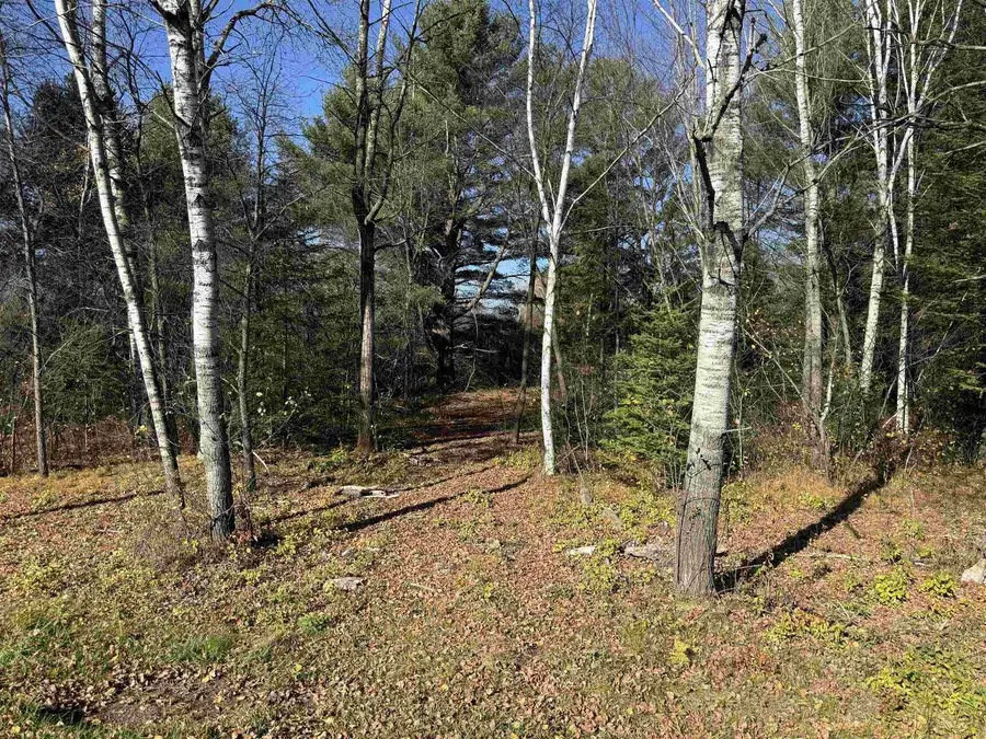 0.46 Acres SHOREY AVENUE, Weston, WI 54476 - #2
