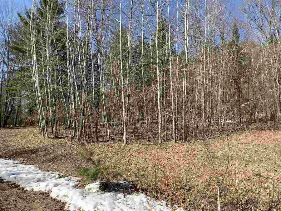 LIME RIDGE ROAD, Shawano, WI 54166 - Image #3