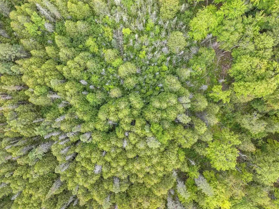 FAUCETT LANE, Pembine, WI 54156 - #2