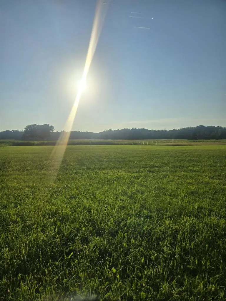 VELP AVENUE, Suamico, WI 54173 - #2