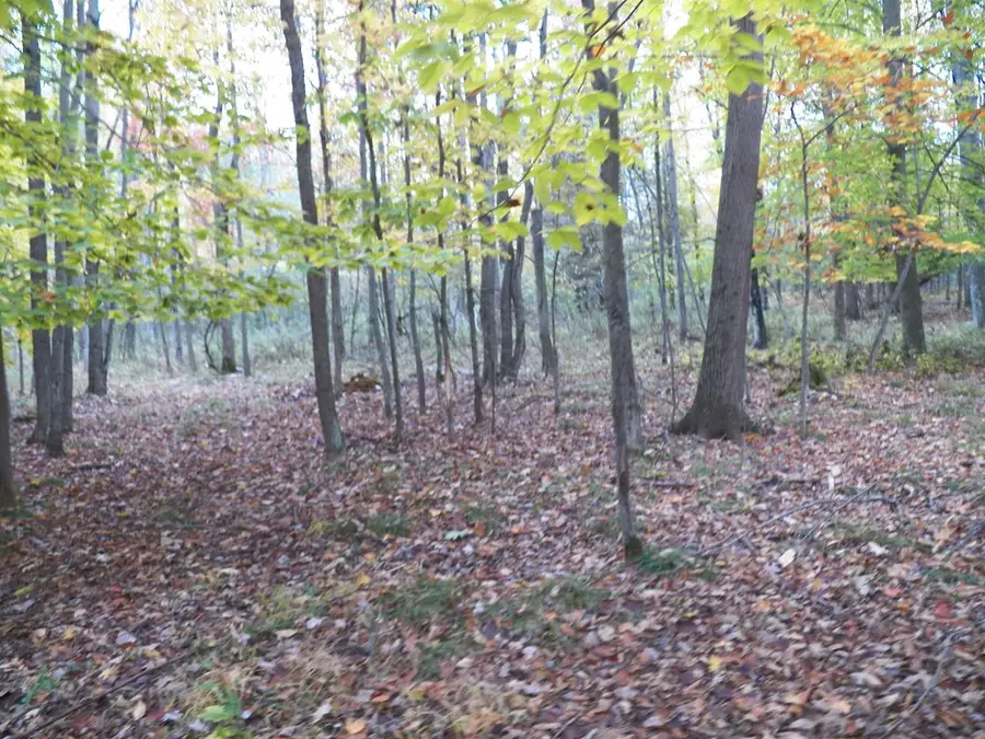#3