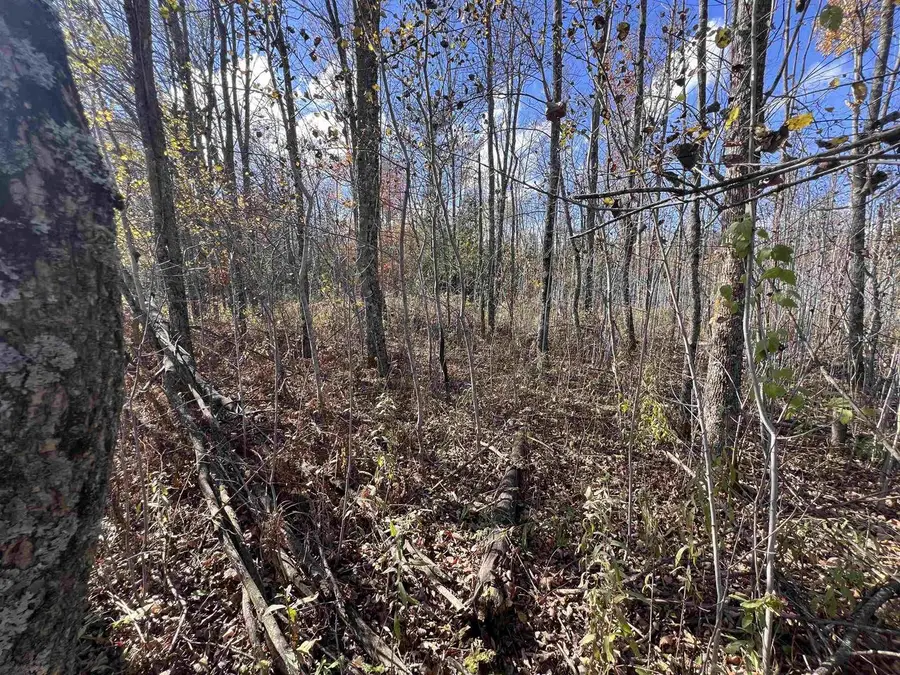 JUST ROAD, Wausaukee, WI 54177 - Image #2