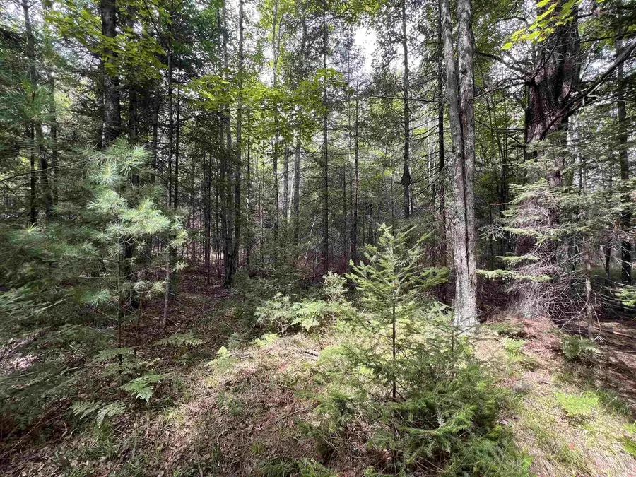 BRUETTE ROAD, Wausaukee, WI 54177 - Image #2