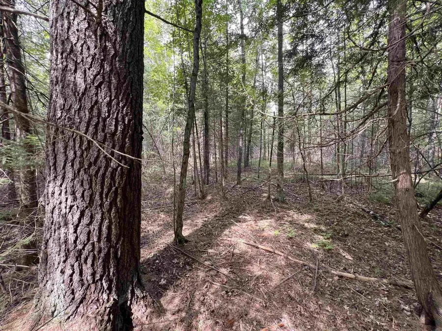 BRUETTE ROAD, Wausaukee, WI 54177 - Image #3