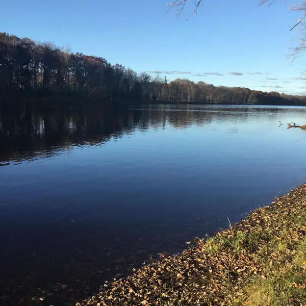 N11169 RADEMAKER ROAD, Wausaukee, WI 54177