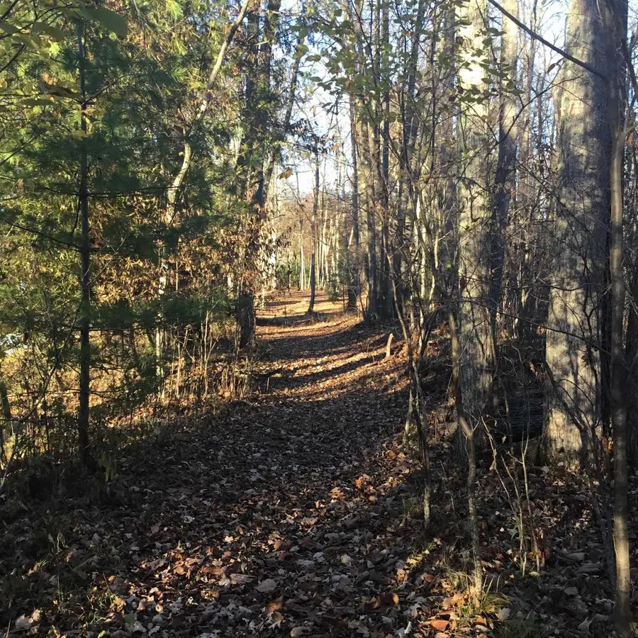 N11169 RADEMAKER ROAD, Wausaukee, WI 54177 - Image #3