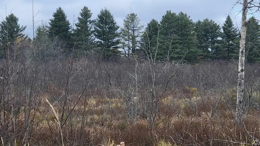 COUNTY HIGHWAY J, Kennan, WI 54537 - Image #2